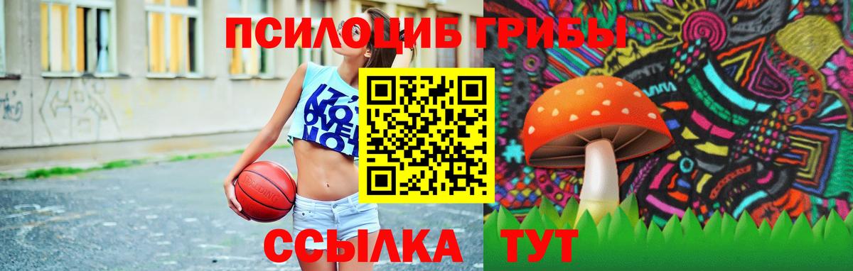 Галлюциногенные грибы мицелий Корсаков